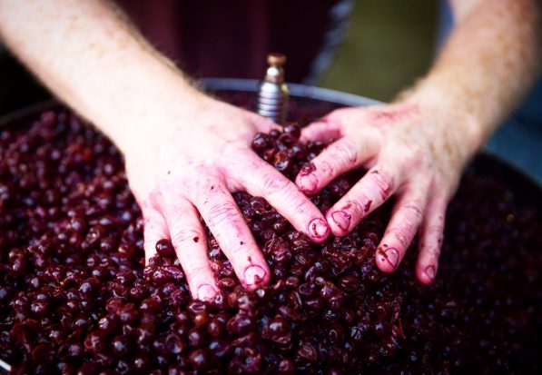 World Gin Day Is All About Shiraz Grapes