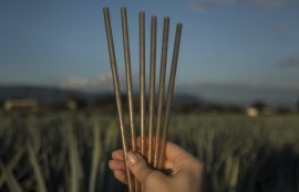 Jose Cuervo Harness The Power Of Agave With Biodegradable Straws