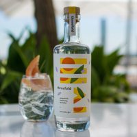 Threefold Releases Their First Gin