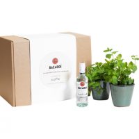 ‘GROW-YOUR- OWN' GARNISH KITS FROM BACARDI UK AND FLOOM