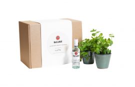 ‘GROW-YOUR- OWN' GARNISH KITS FROM BACARDI UK AND FLOOM