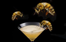 7 Honey Syrup Cocktails