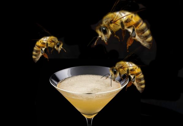 7 Honey Syrup Cocktails
