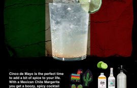 Mexican Chile Margarita