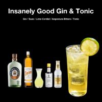 Insanely Good Gin & Tonic